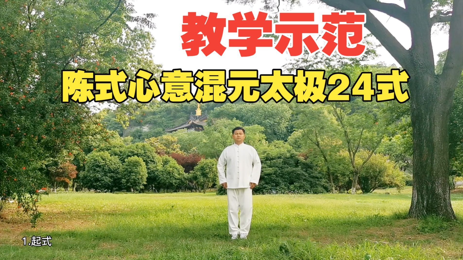 陈式心意混元太极拳 24 式 · 张林三老师教学示范